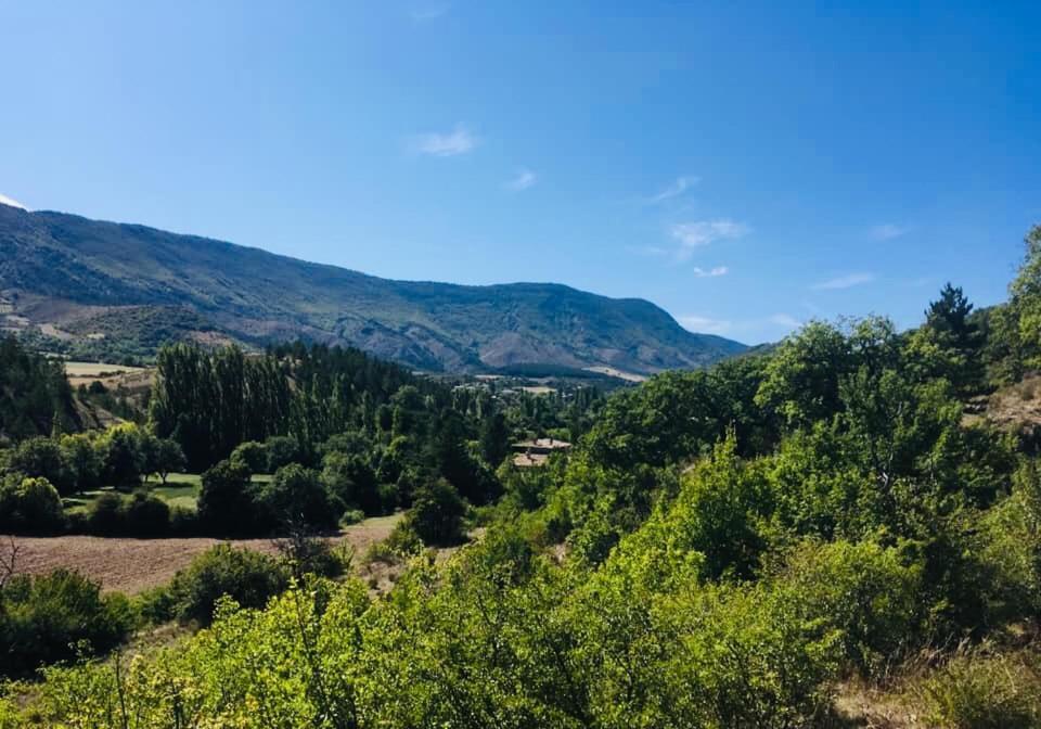 Le Moulin De La Viorne, Gite Avec Piscine Au Coeur De La Nature En Haute-Provence Les Omergues Buitenkant foto