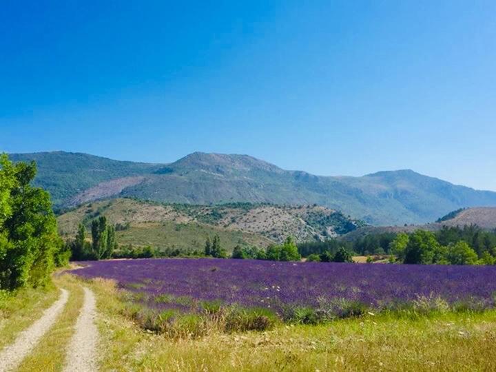 Le Moulin De La Viorne, Gite Avec Piscine Au Coeur De La Nature En Haute-Provence Les Omergues Buitenkant foto