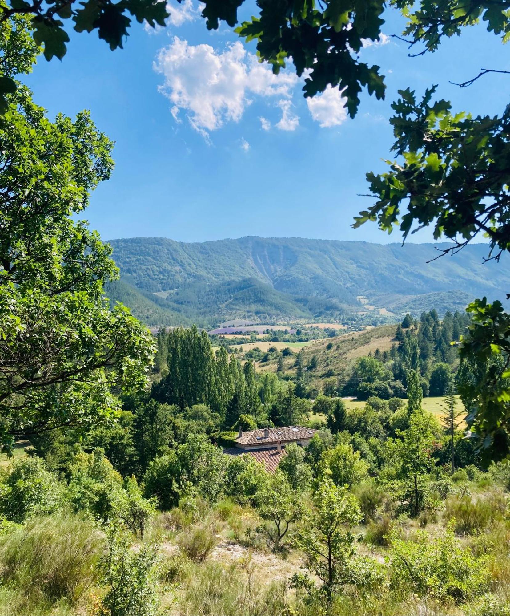 Le Moulin De La Viorne, Gite Avec Piscine Au Coeur De La Nature En Haute-Provence Les Omergues Buitenkant foto