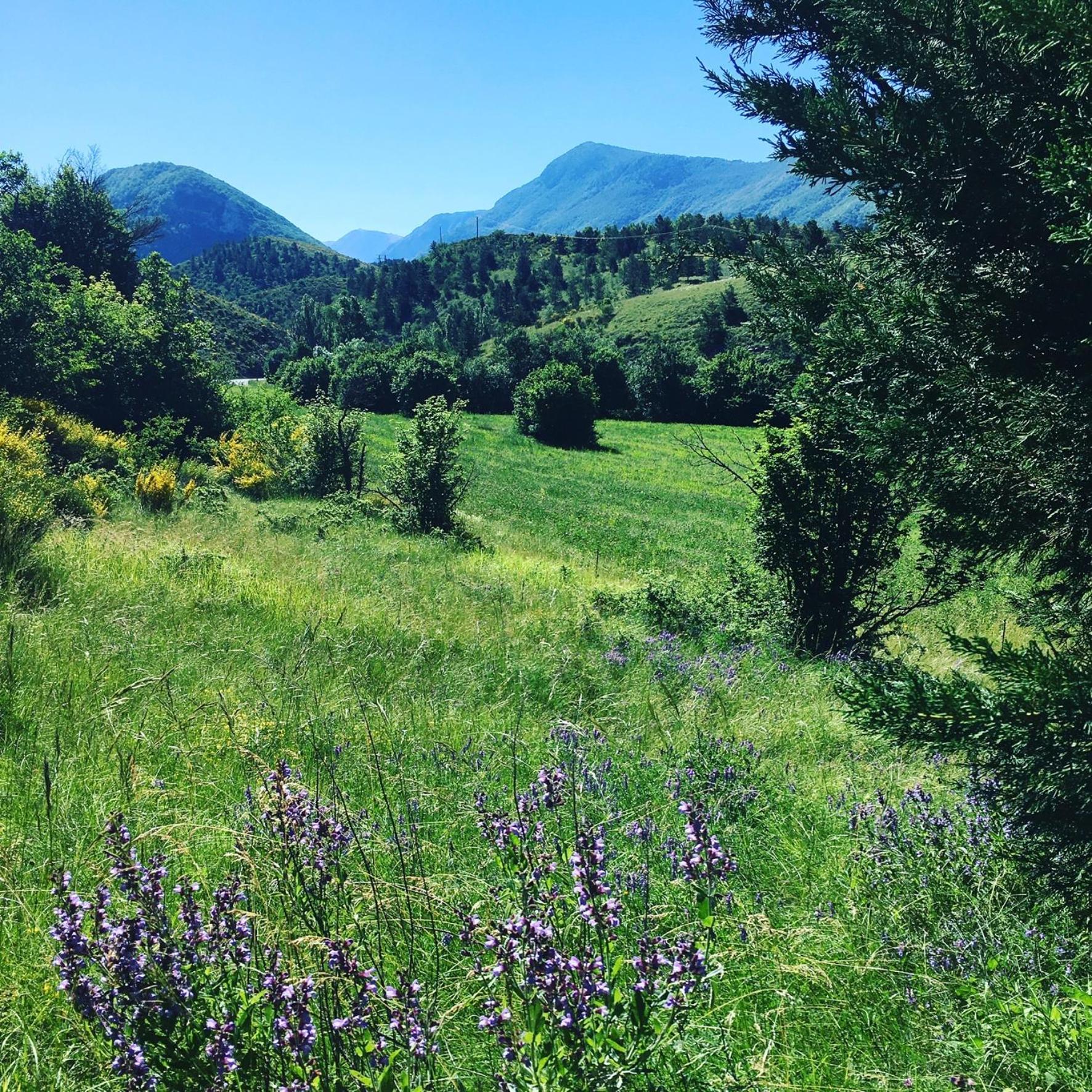Le Moulin De La Viorne, Gite Avec Piscine Au Coeur De La Nature En Haute-Provence Les Omergues Buitenkant foto