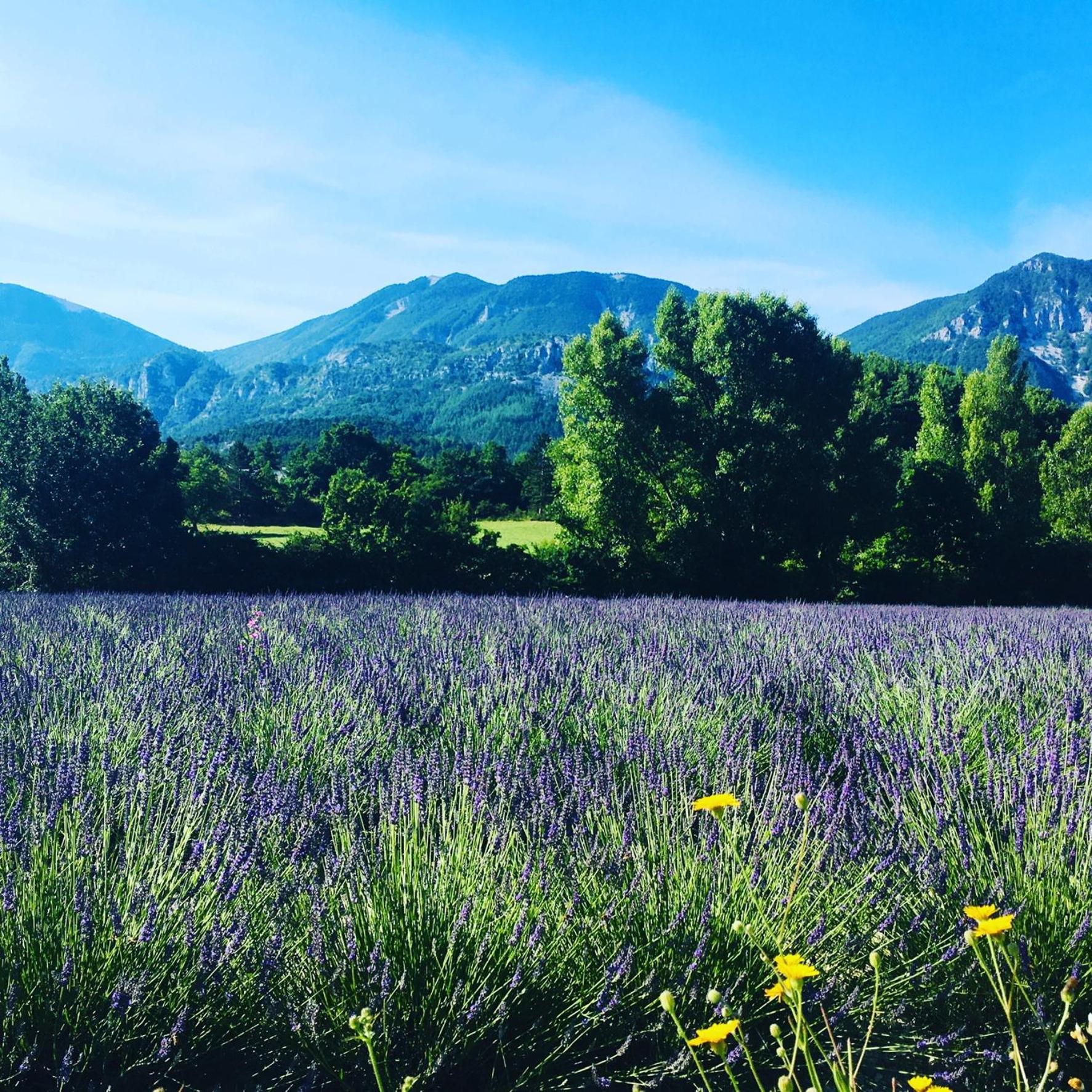 Le Moulin De La Viorne, Gite Avec Piscine Au Coeur De La Nature En Haute-Provence Les Omergues Buitenkant foto