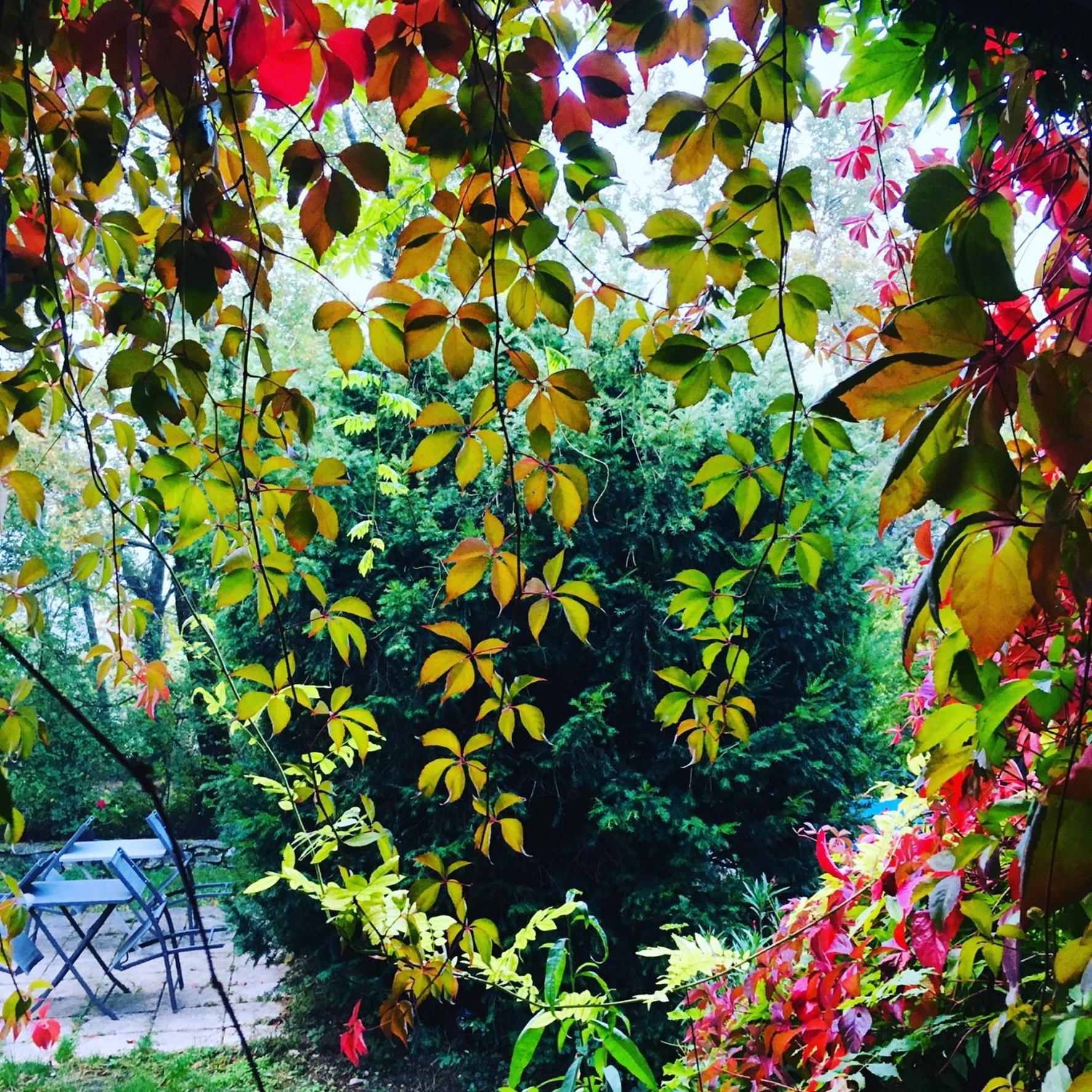 Le Moulin De La Viorne, Gite Avec Piscine Au Coeur De La Nature En Haute-Provence Les Omergues Buitenkant foto