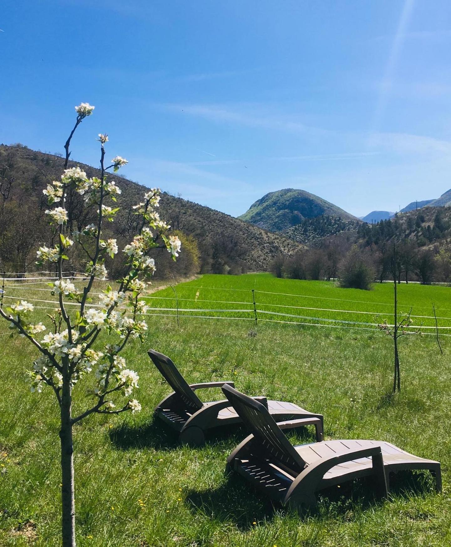 Le Moulin De La Viorne, Gite Avec Piscine Au Coeur De La Nature En Haute-Provence Les Omergues Buitenkant foto