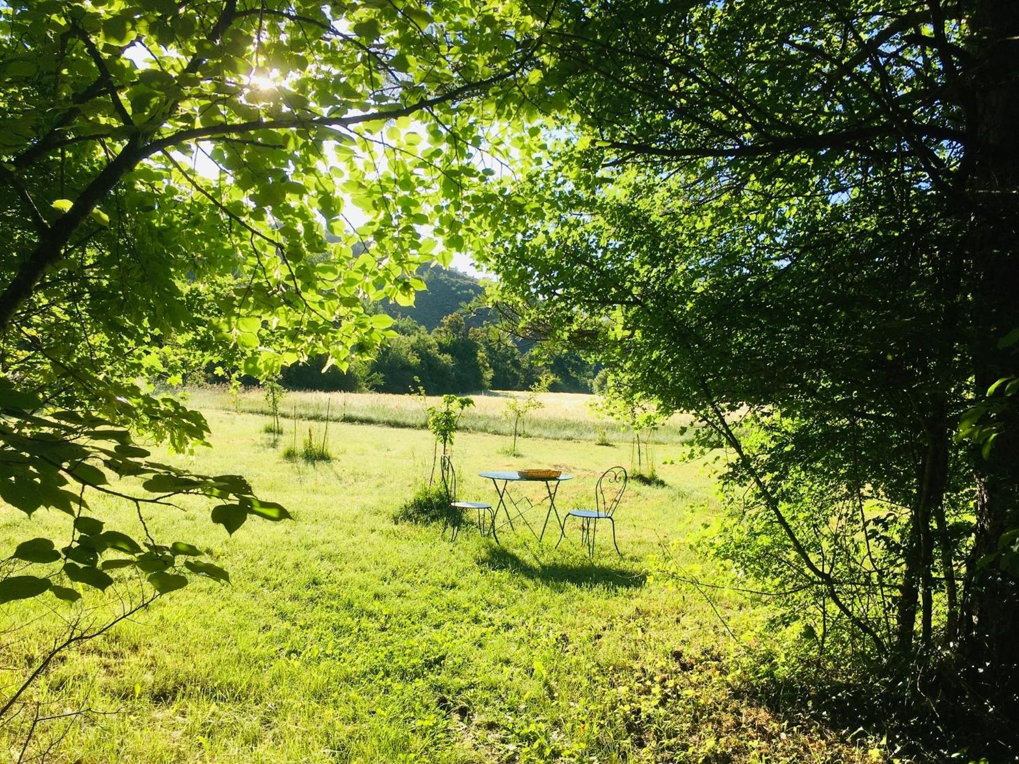 Le Moulin De La Viorne, Gite Avec Piscine Au Coeur De La Nature En Haute-Provence Les Omergues Buitenkant foto