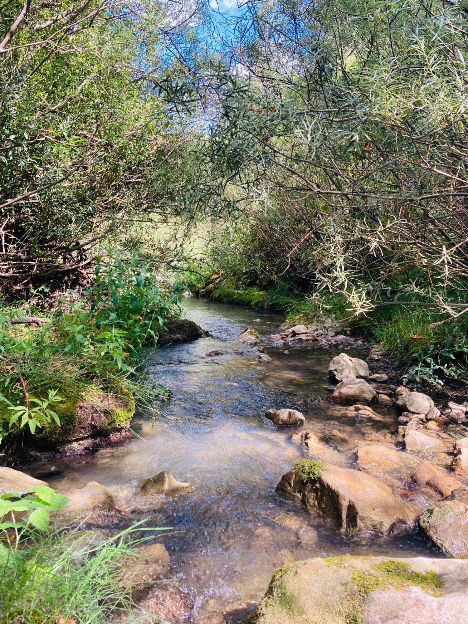 Le Moulin De La Viorne, Gite Avec Piscine Au Coeur De La Nature En Haute-Provence Les Omergues Buitenkant foto